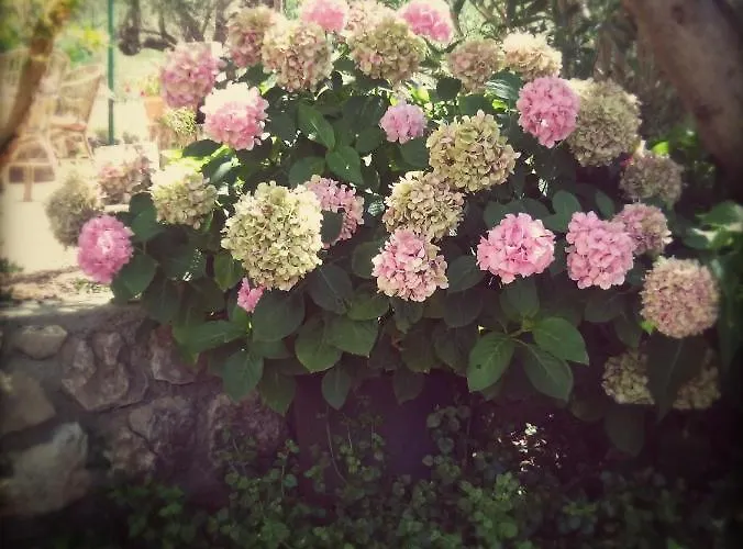 With Parking Space Banjol, Rab - 16334 * Банёл