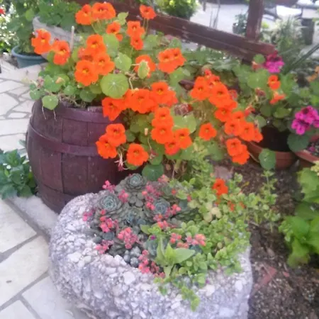 With Parking Space Banjol, Rab - 16334